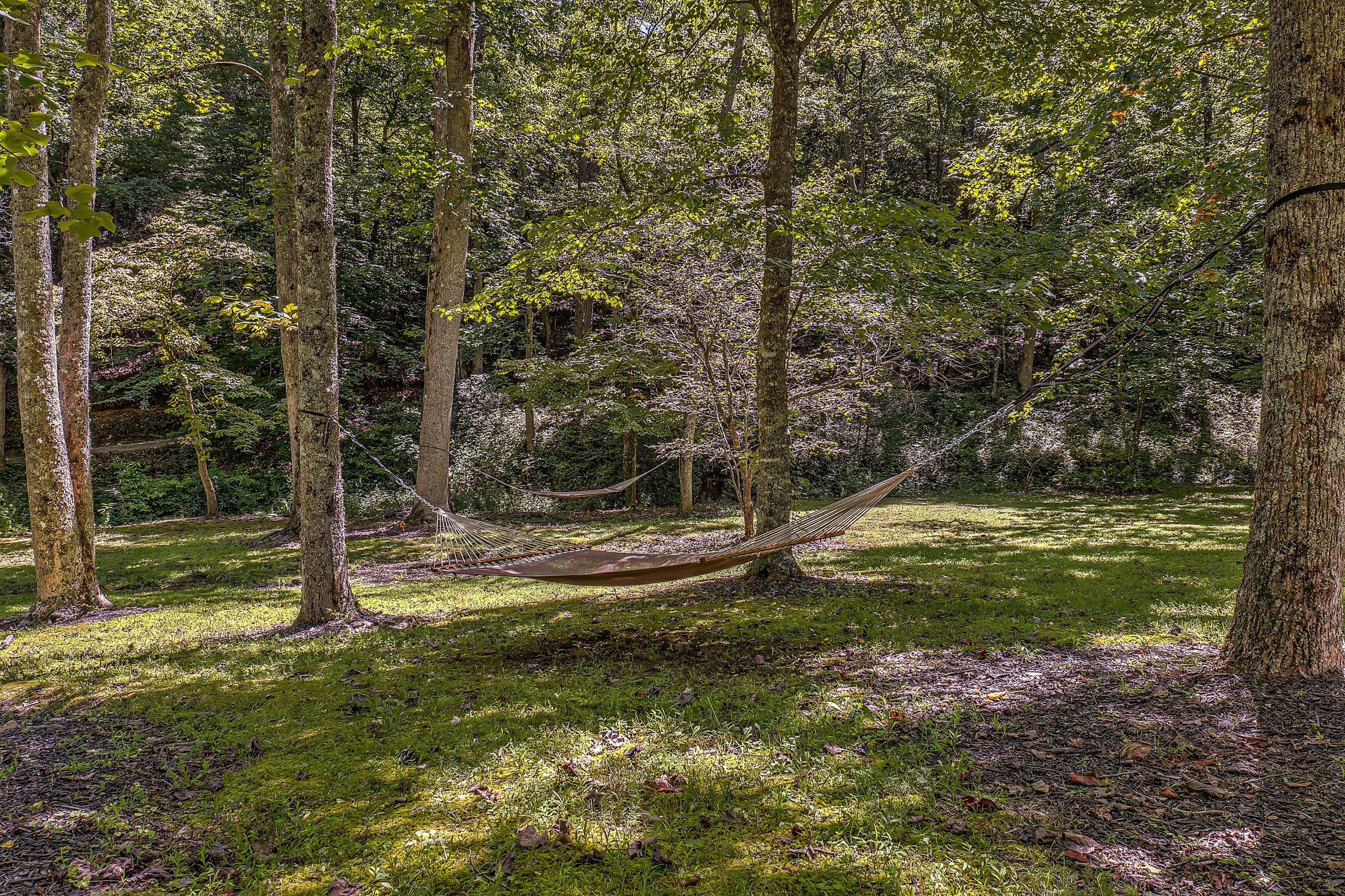 Hammocks