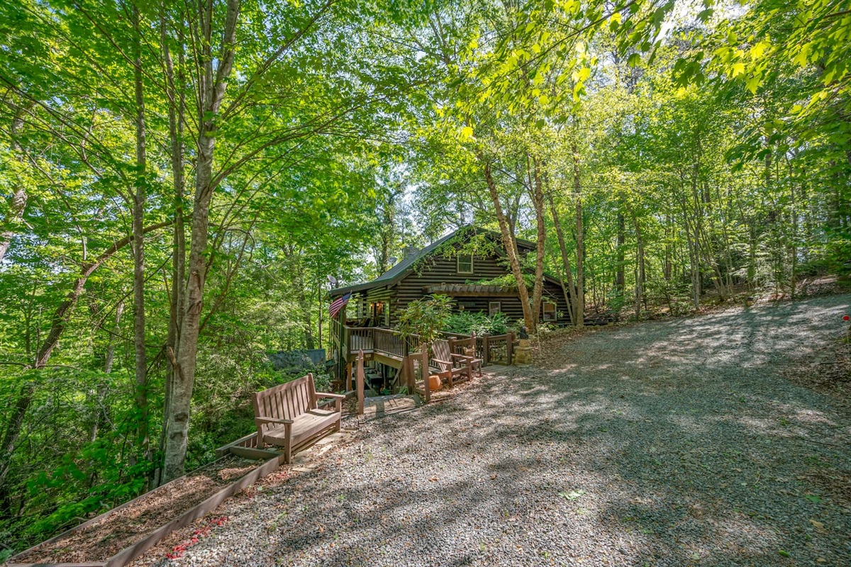 Wooded setting of cabin exterior surrounded by towering trees and peaceful nature