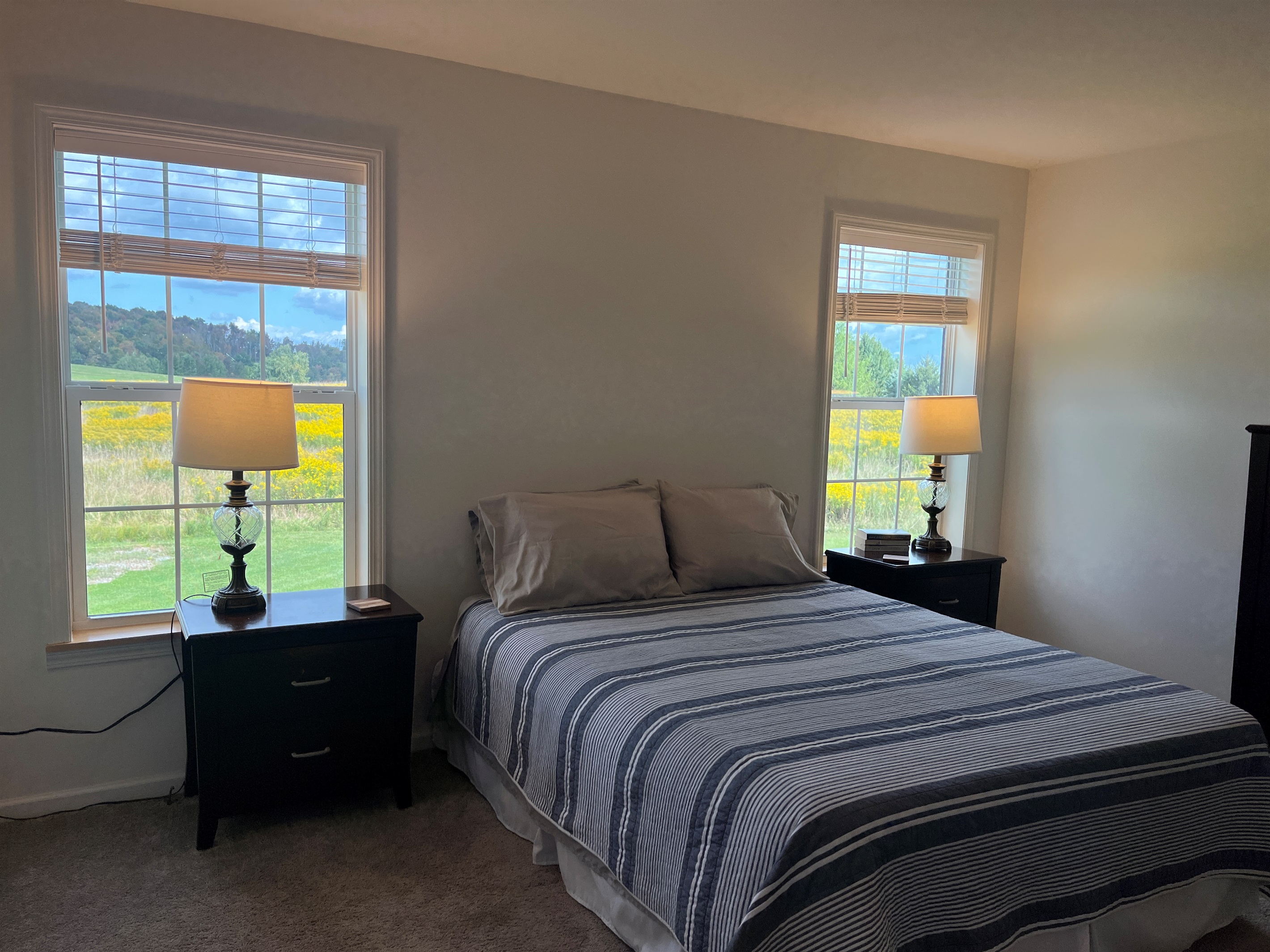 Main level primary Queen bedroom