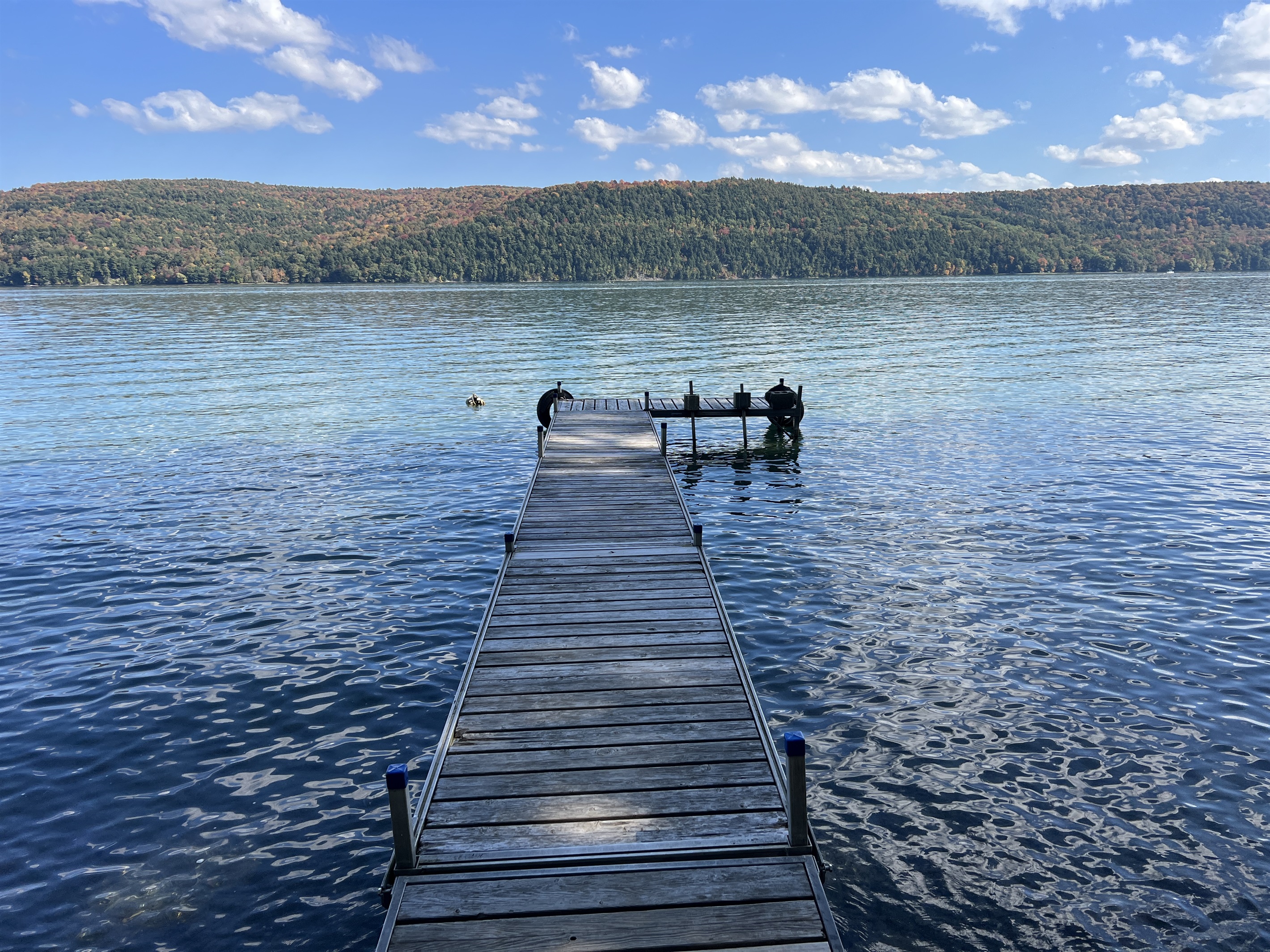 Lille Gossebo Otsego Lake waterfront, private dock for swimming, fishing and boating!