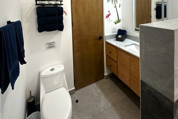 Discover the stylish guest bathroom in Cabo, a rainfall shower, and a sleek LED-lit mirror with anti-fog design. Perfect for a rejuvenating cleanse, this cozy retreat enhances your Mexico vacation.