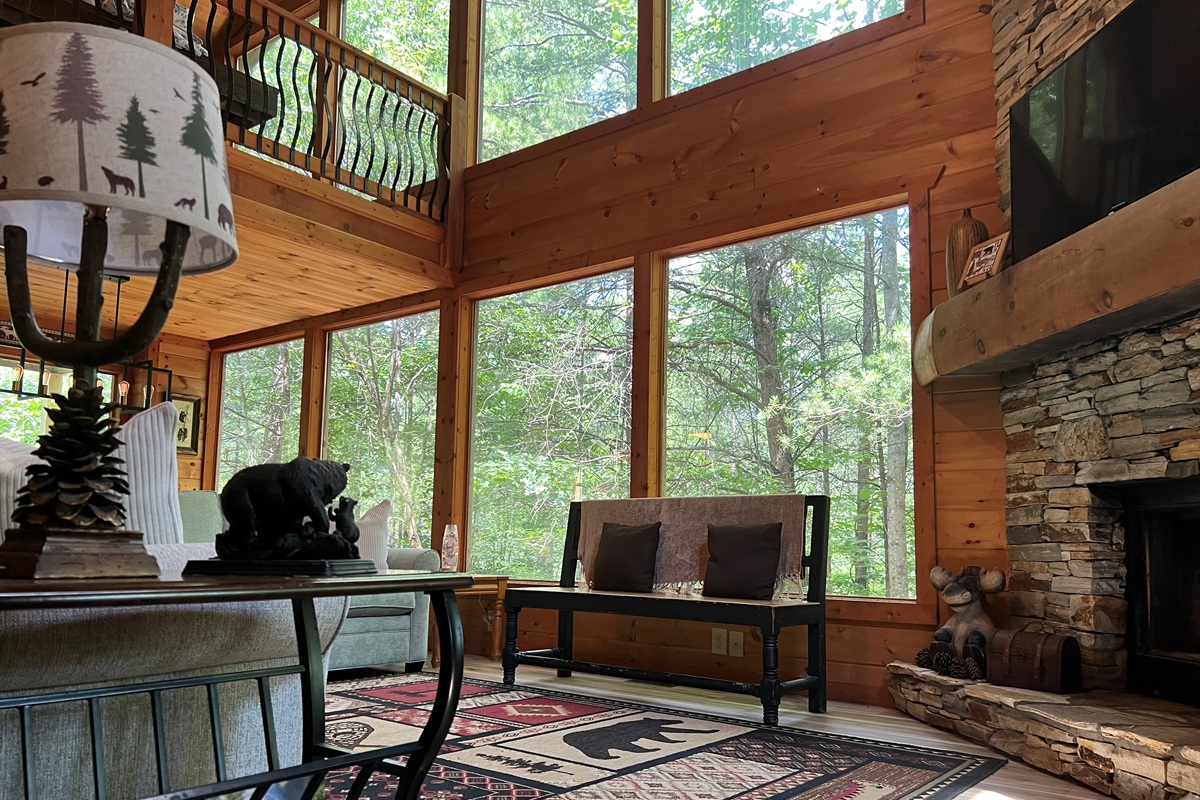 Breathtaking Views, Bringing the Beauty of Outdoors Into Your Home