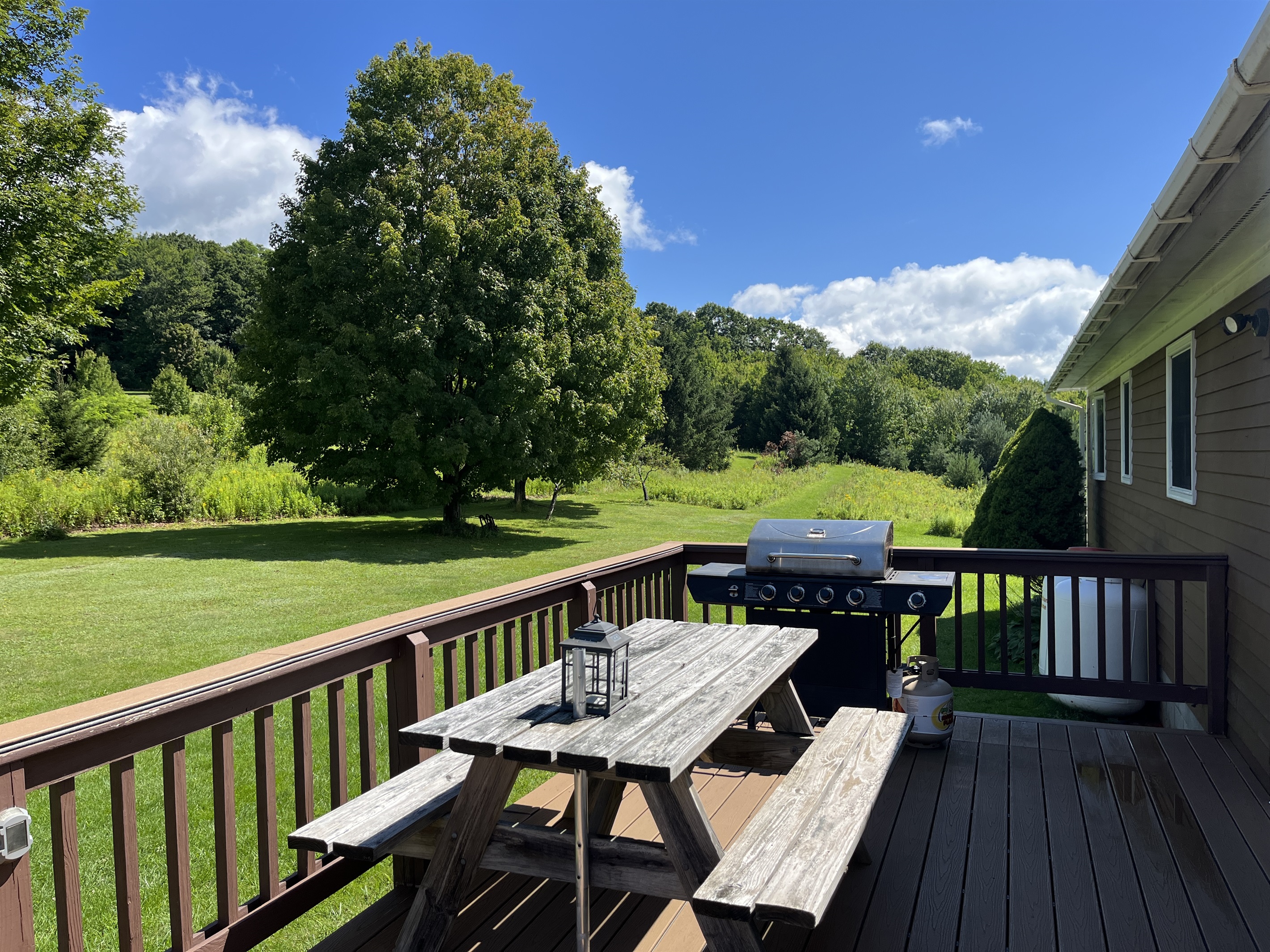Outdoor dining and grilling on rear deck