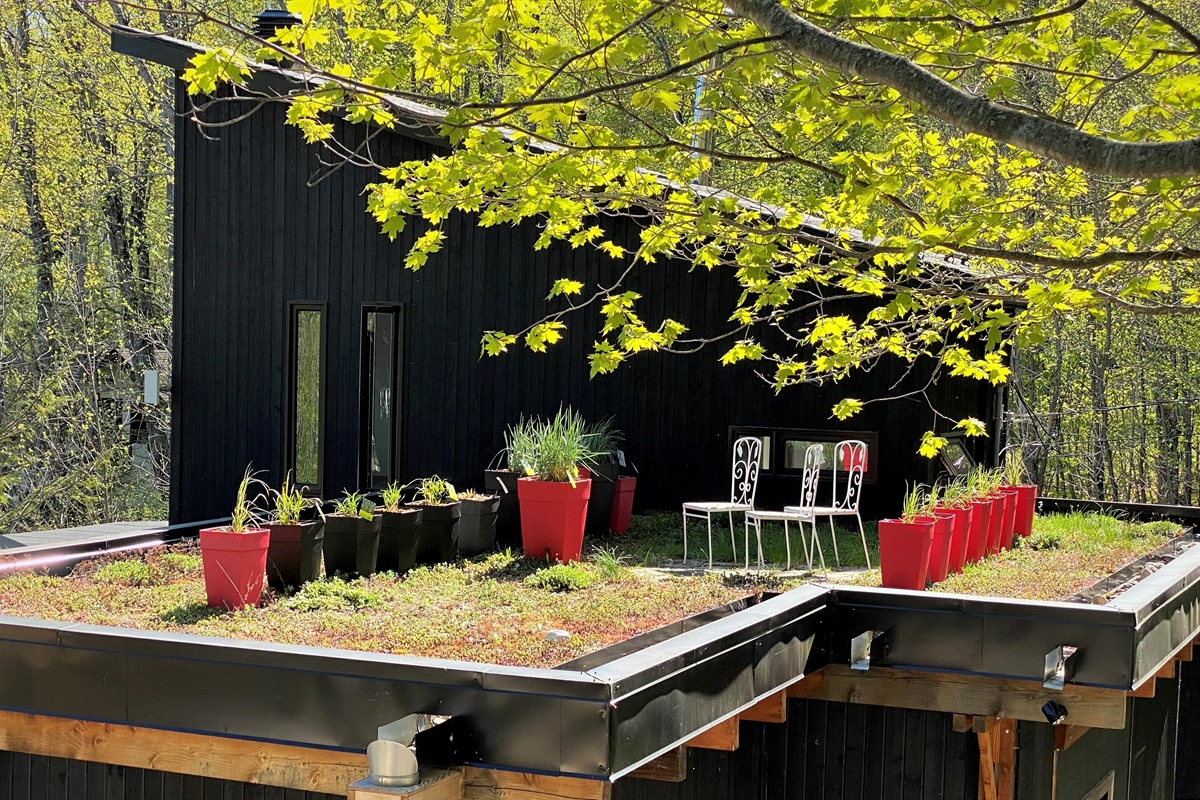 Cottage green roof seen in the fresh green of spring