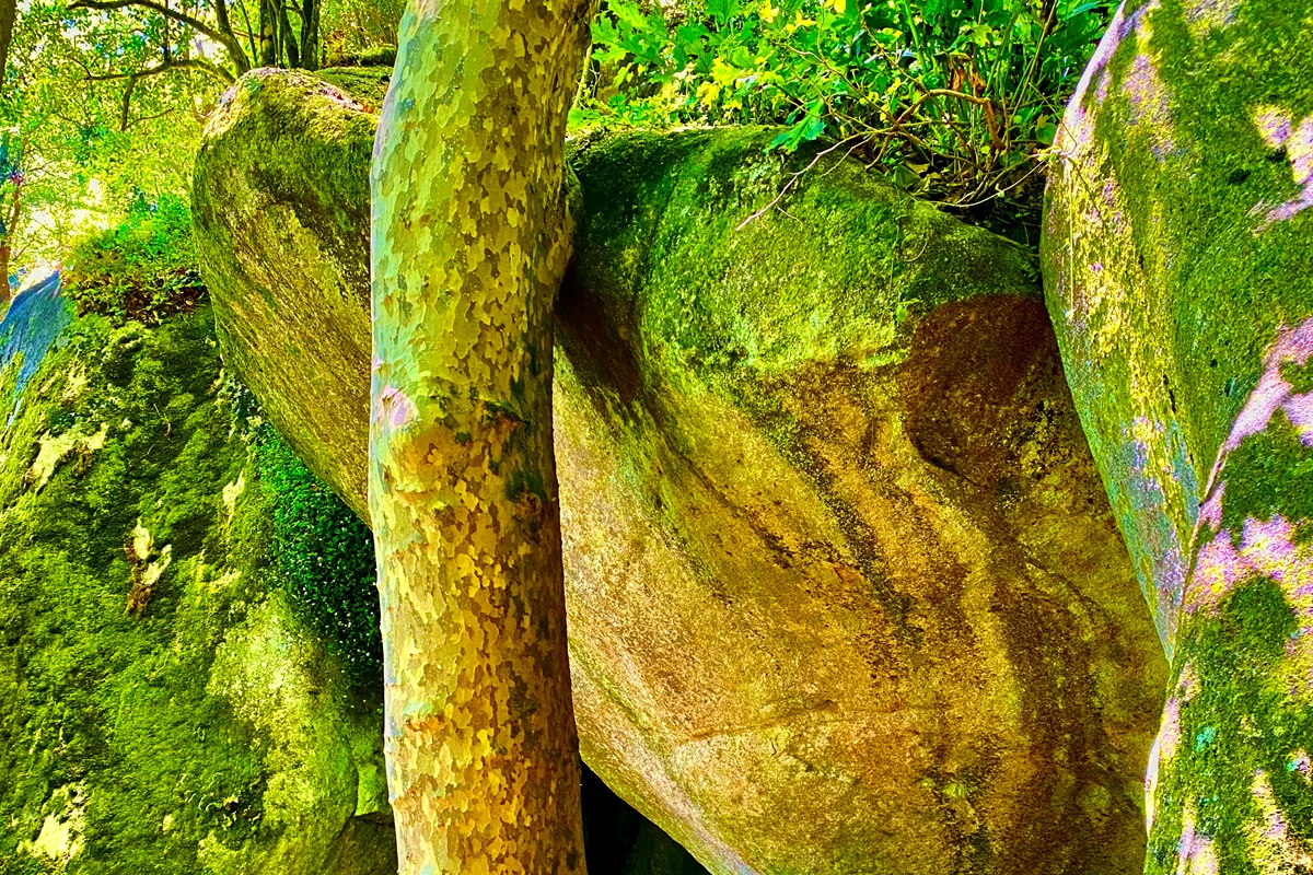 Sinta magical hiking