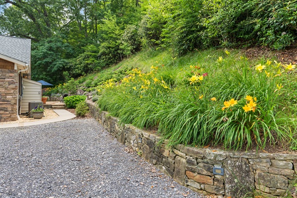 Day Lilies and Seasonal Blooming Rhododendrons