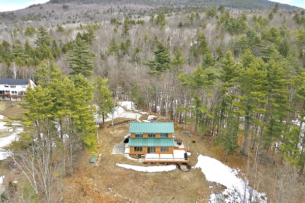 Bird's-eye view of Merriman Forest House