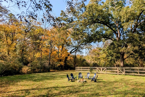 Pecan Belle's namesake tree | fire pit