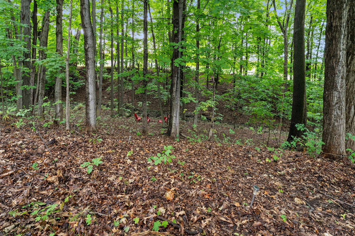 Stroll through your very own wooded paradise with towering trees and serene forest views.
