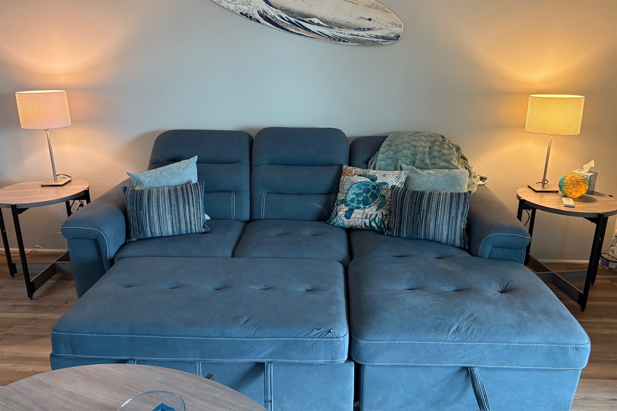 Pull out Queen sleeper sofa