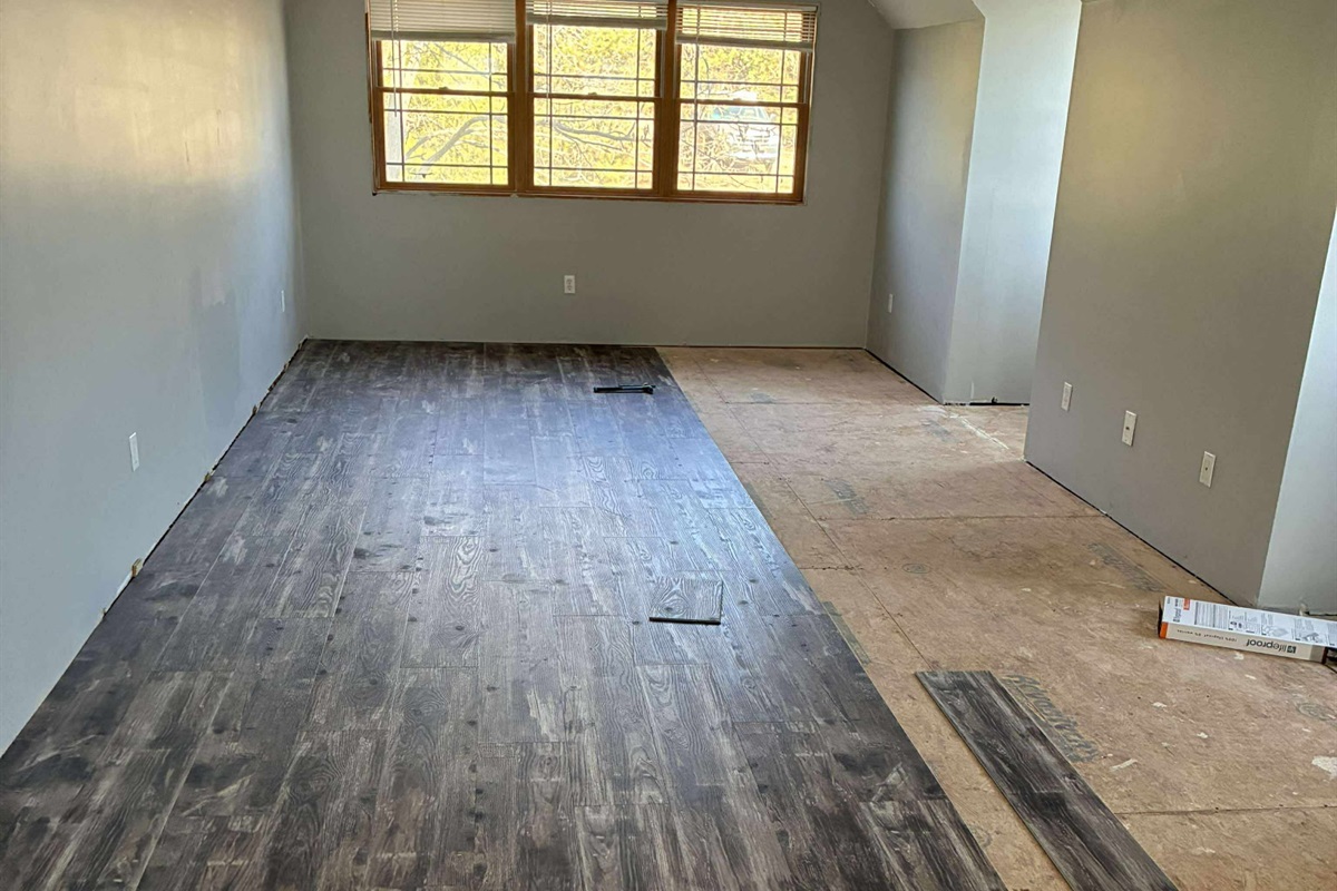 Future site of the theatre room