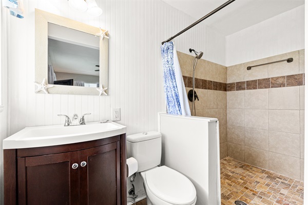 Master bath with shampoo, conditioner, body wash and hair dryer