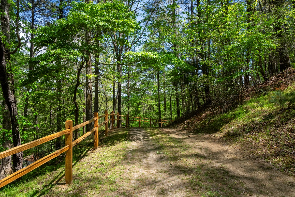 Follow the driveway in as Laurel Cove comes into view, nestled among the trees.