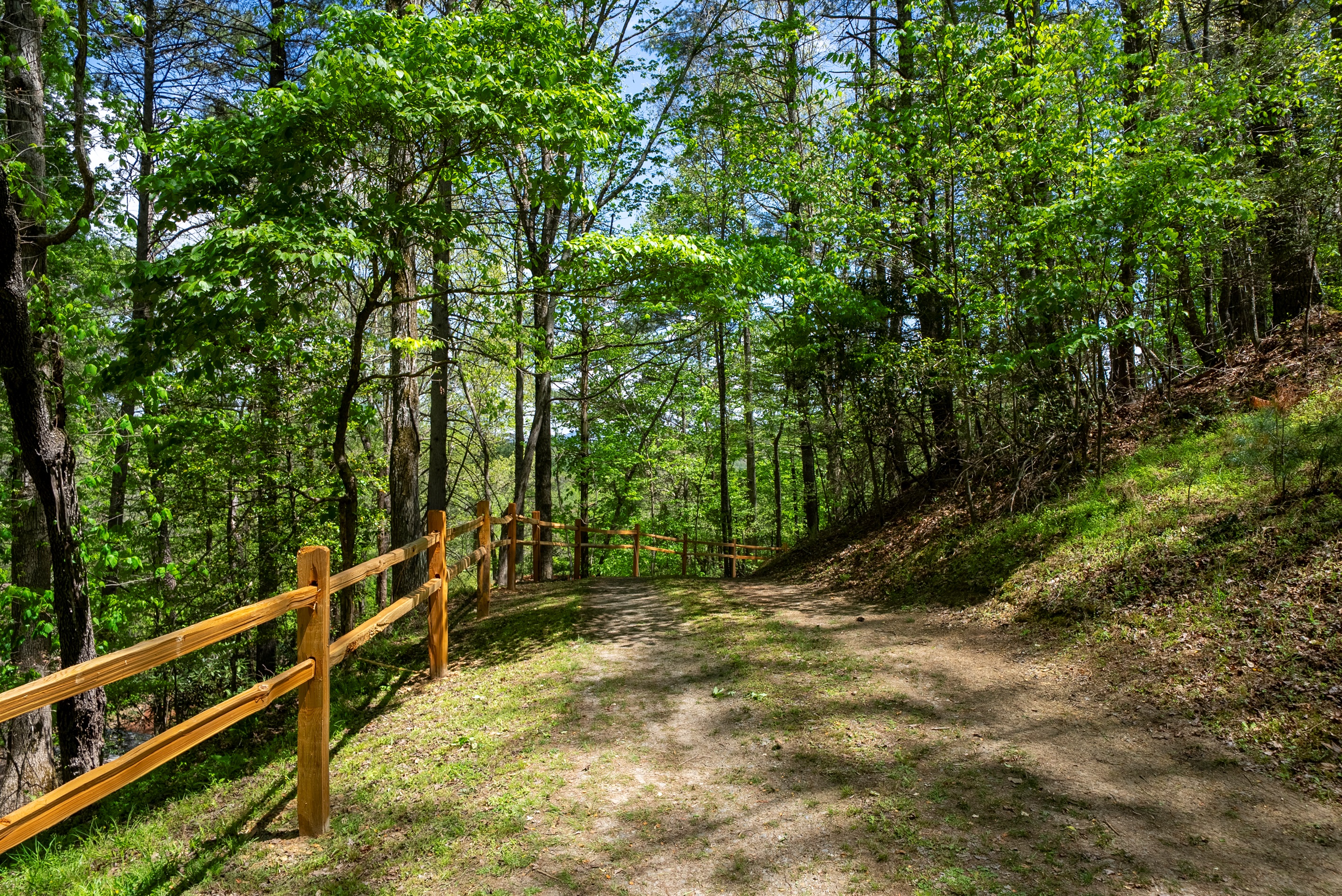 Follow the driveway in as Laurel Cove comes into view, nestled among the trees.