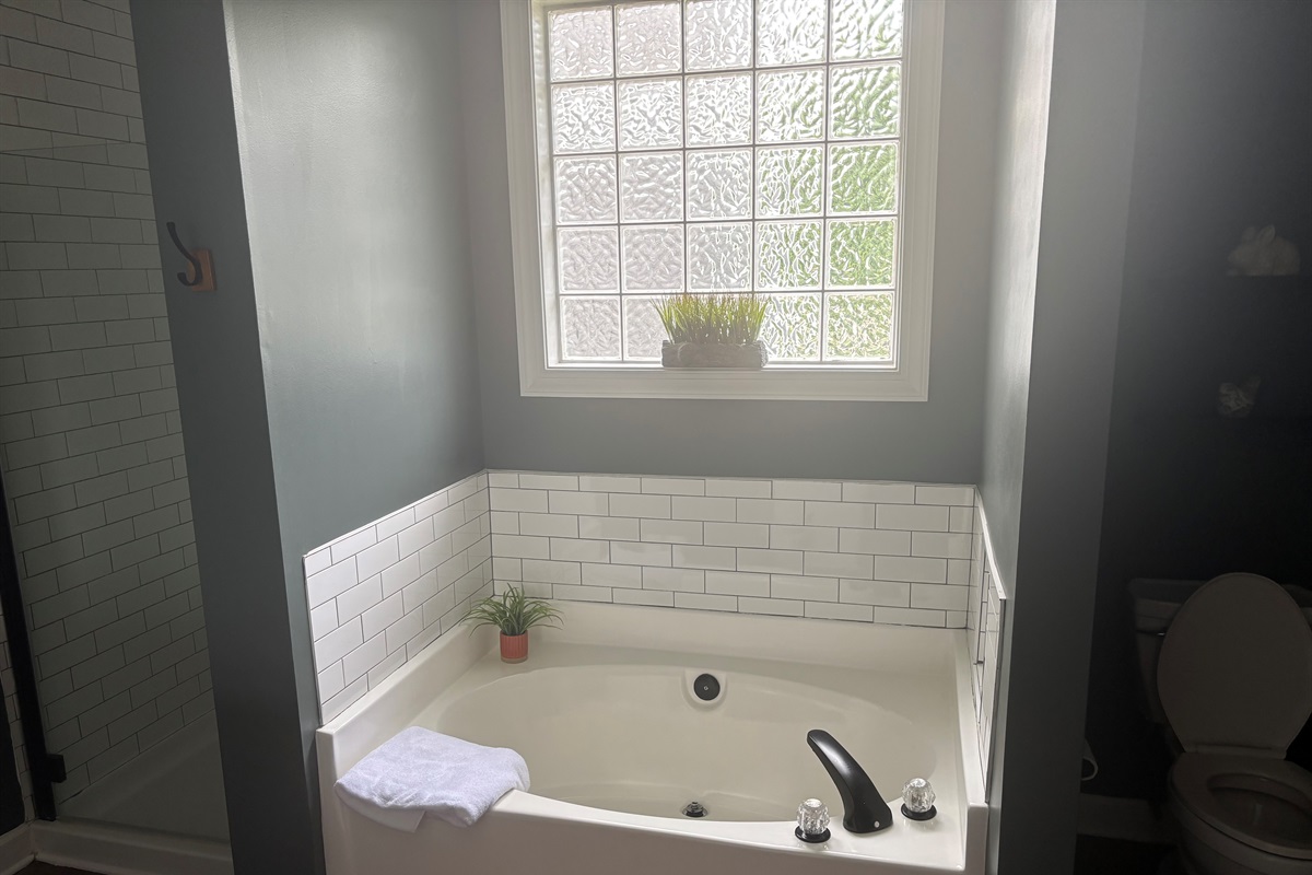 Bath tub in the master bathroom