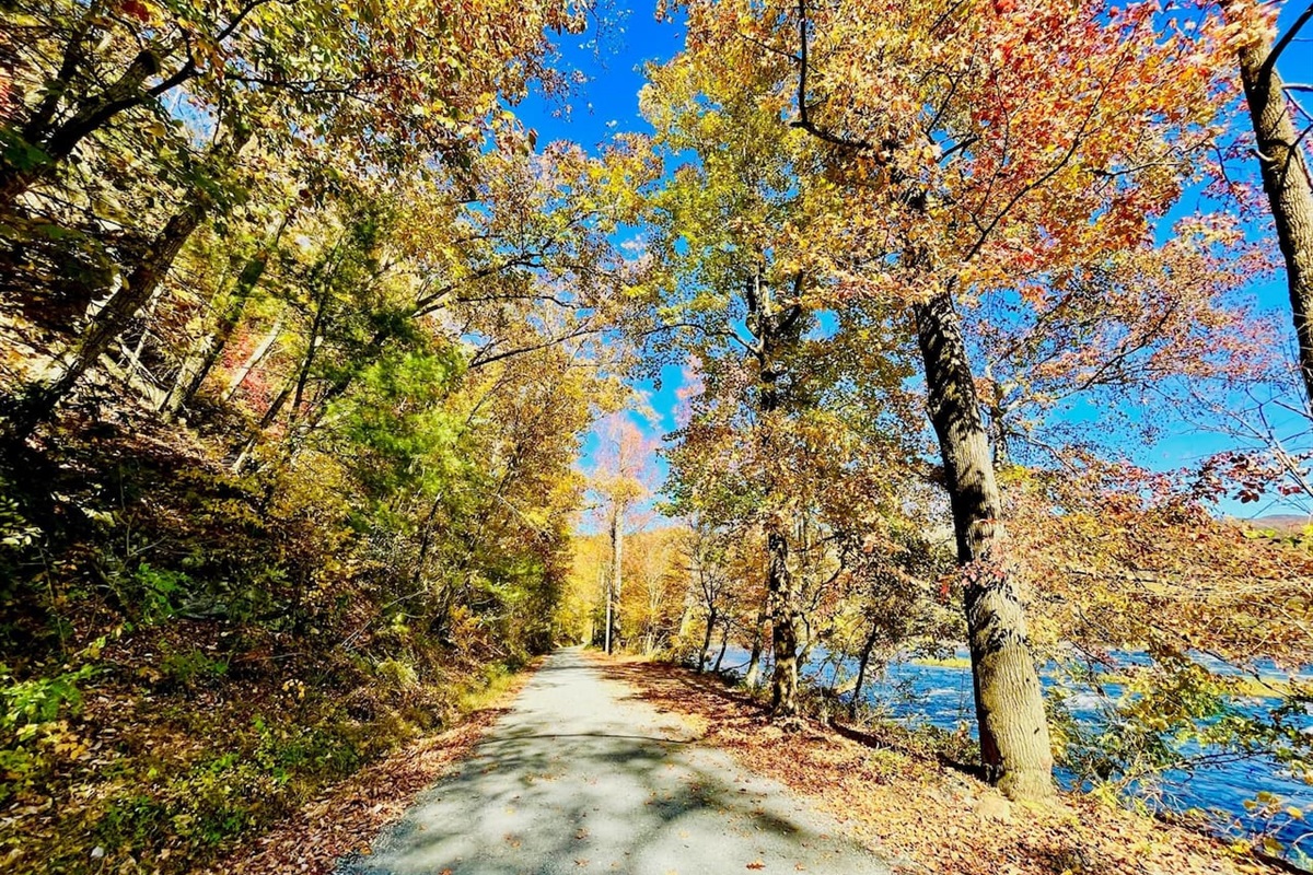 A bluebird sky Fall day on River Road leading to cottage.  
