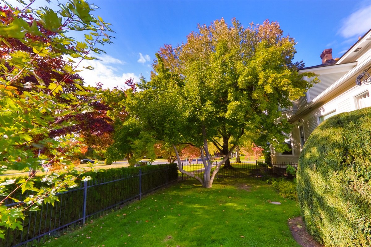 Side yard, fully fenced and perfect for kids, games and furry friends.