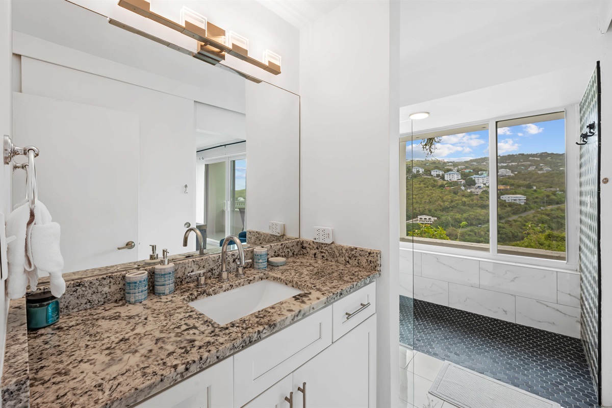 Primary bathroom with a walk in shower