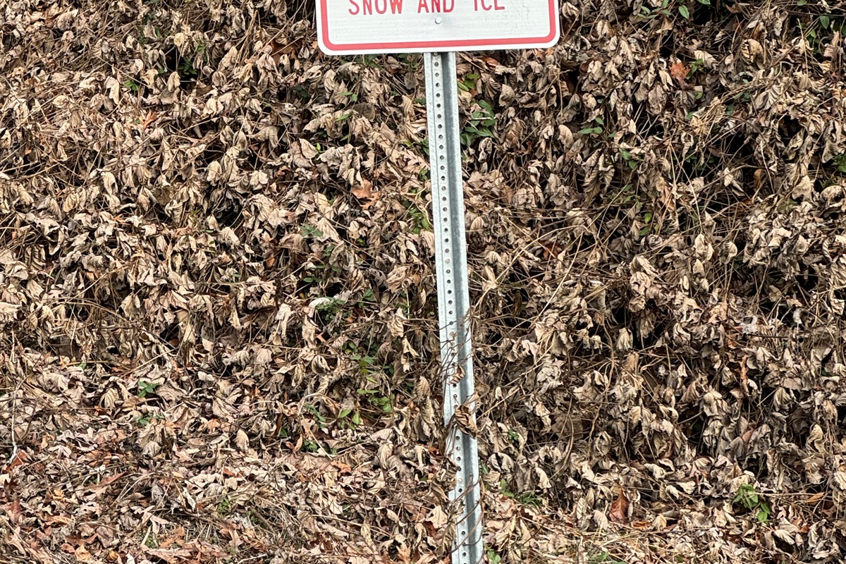 Cabin is on steep mountain roads and has a steep driveway 