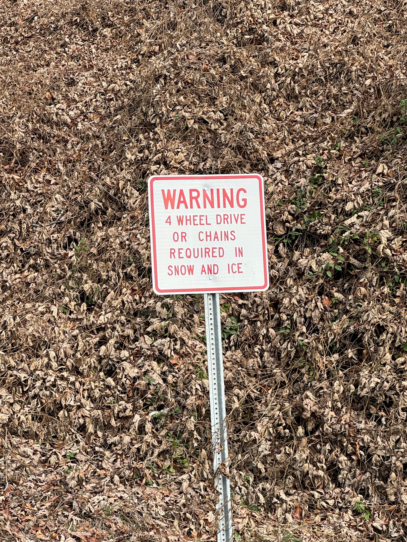 Cabin is on steep mountain roads and has a steep driveway 