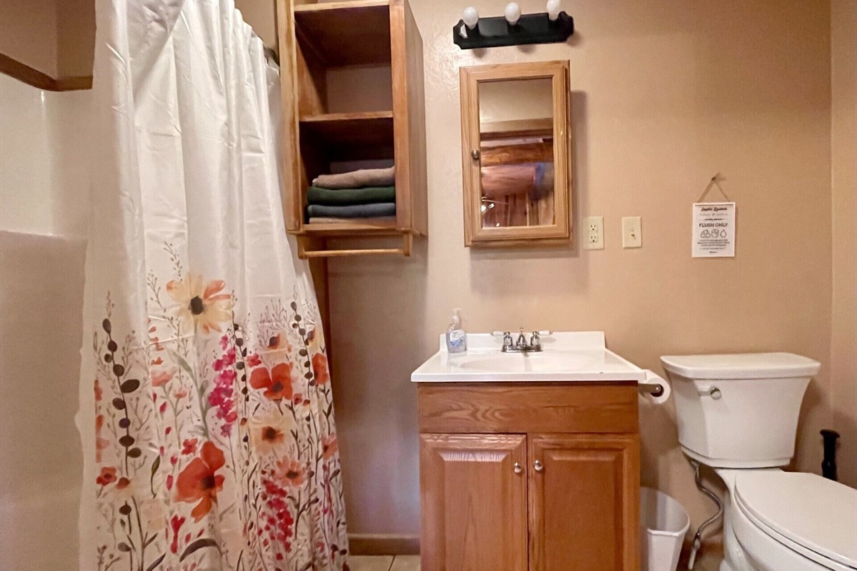 Downstairs bathroom has a shower.