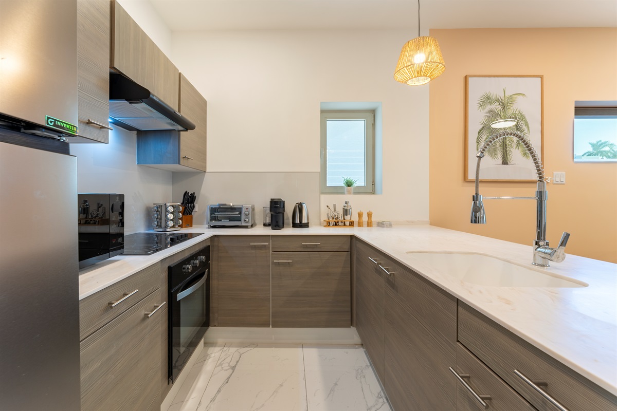 Sleek stainless steel appliances, induction cooktop, and ample counter space