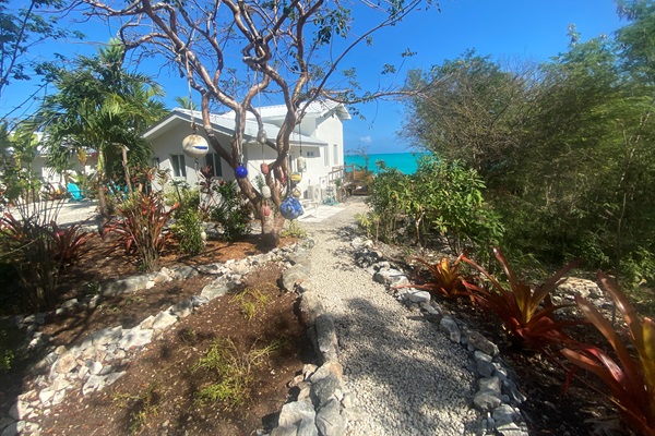 The East side of the house has garden with aloe, hot peppers, herbs and pineapple plants.  Please help yourself.