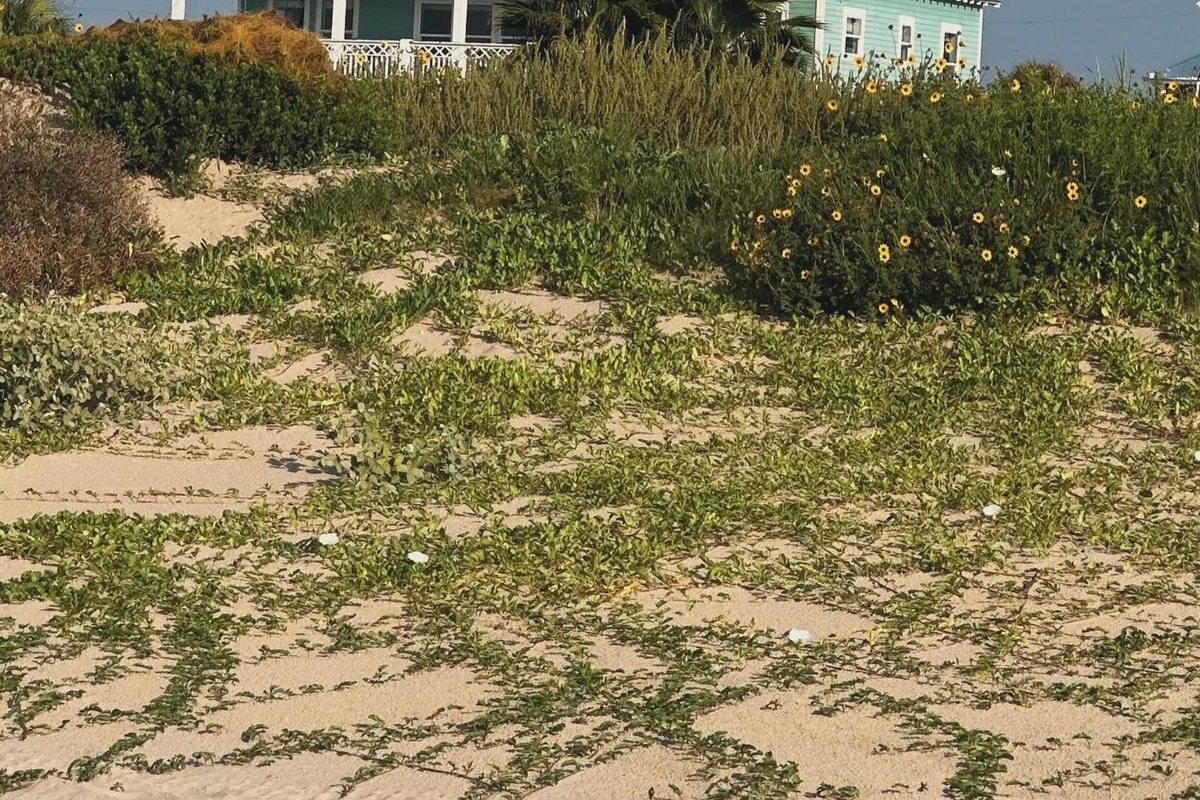 9f6ce4d6729c473ebe0312396c2791f7 Large | Beachhouse | Texas | TX | Vacation Homes | Galveston | Crystal Beach | Kokomo | Breezy Days | Beachfront Elegance | Sunrise Serenity | Southern Sands Property Management, LLC
