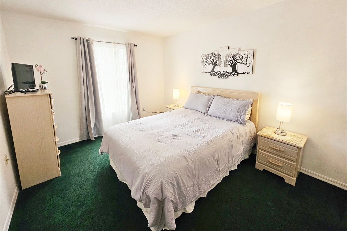 QUEEN Bedroom 2, ROKU TV