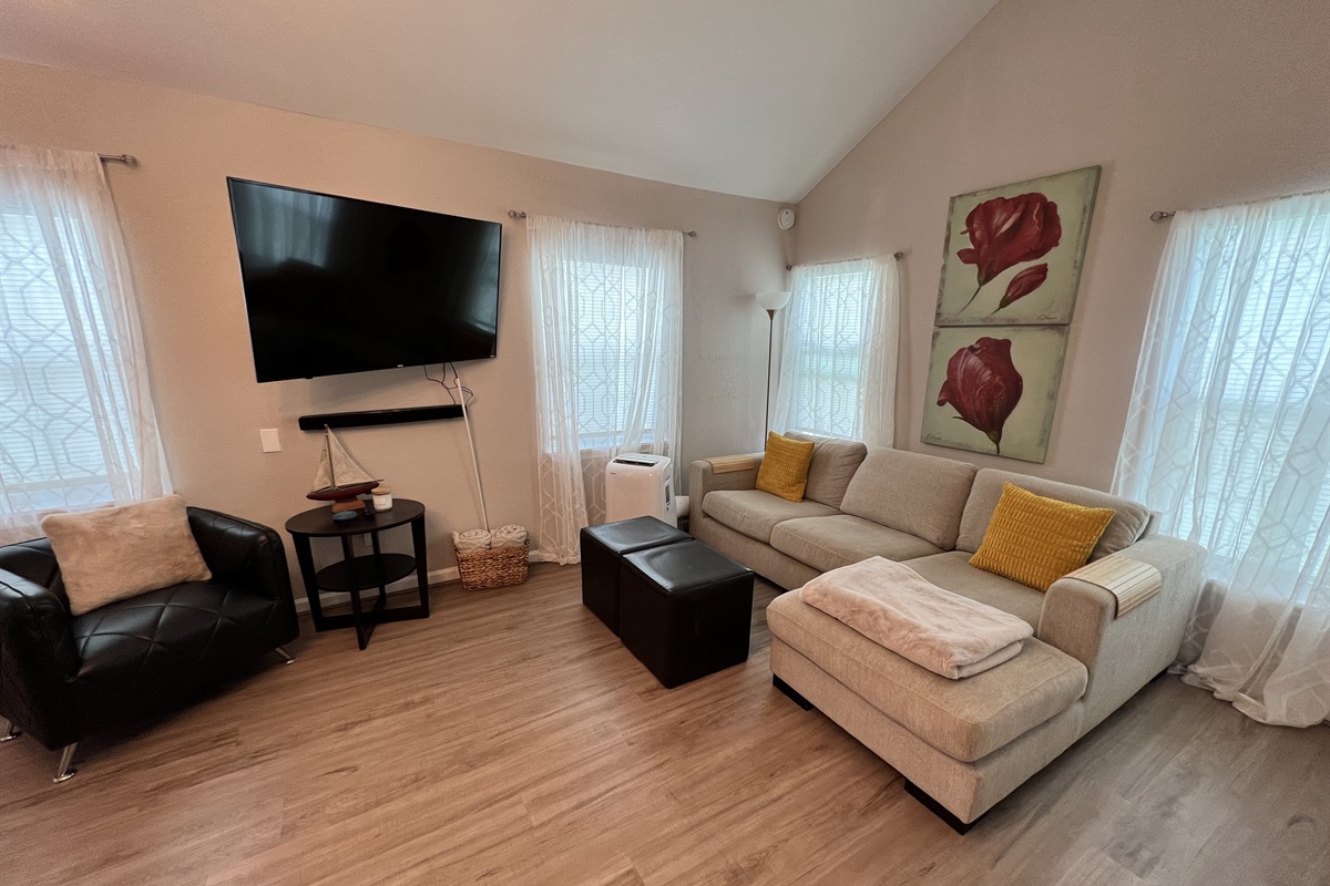 Comfortable couch with movable Tv 