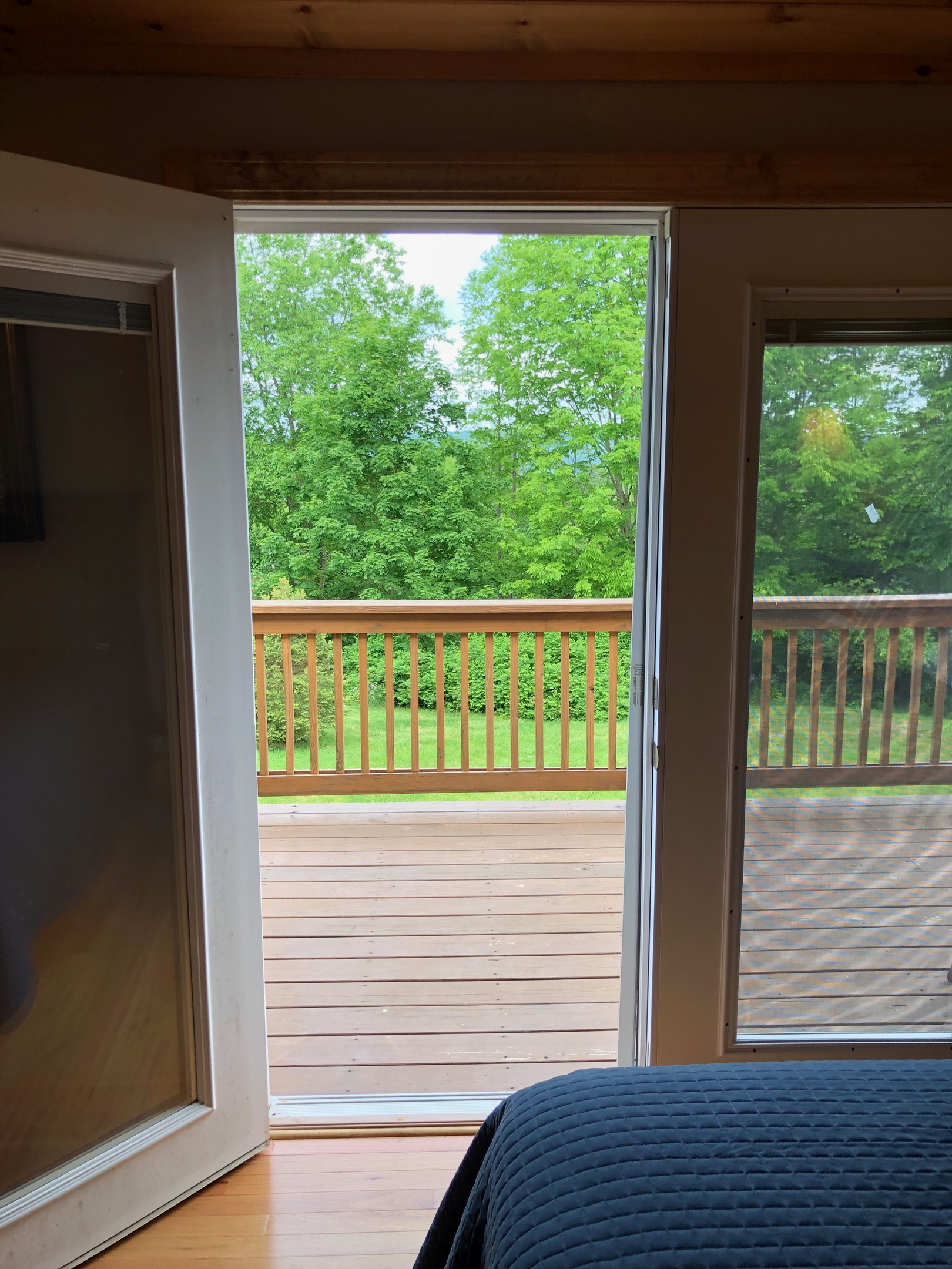 Beautiful views of nothing but green from the living room.