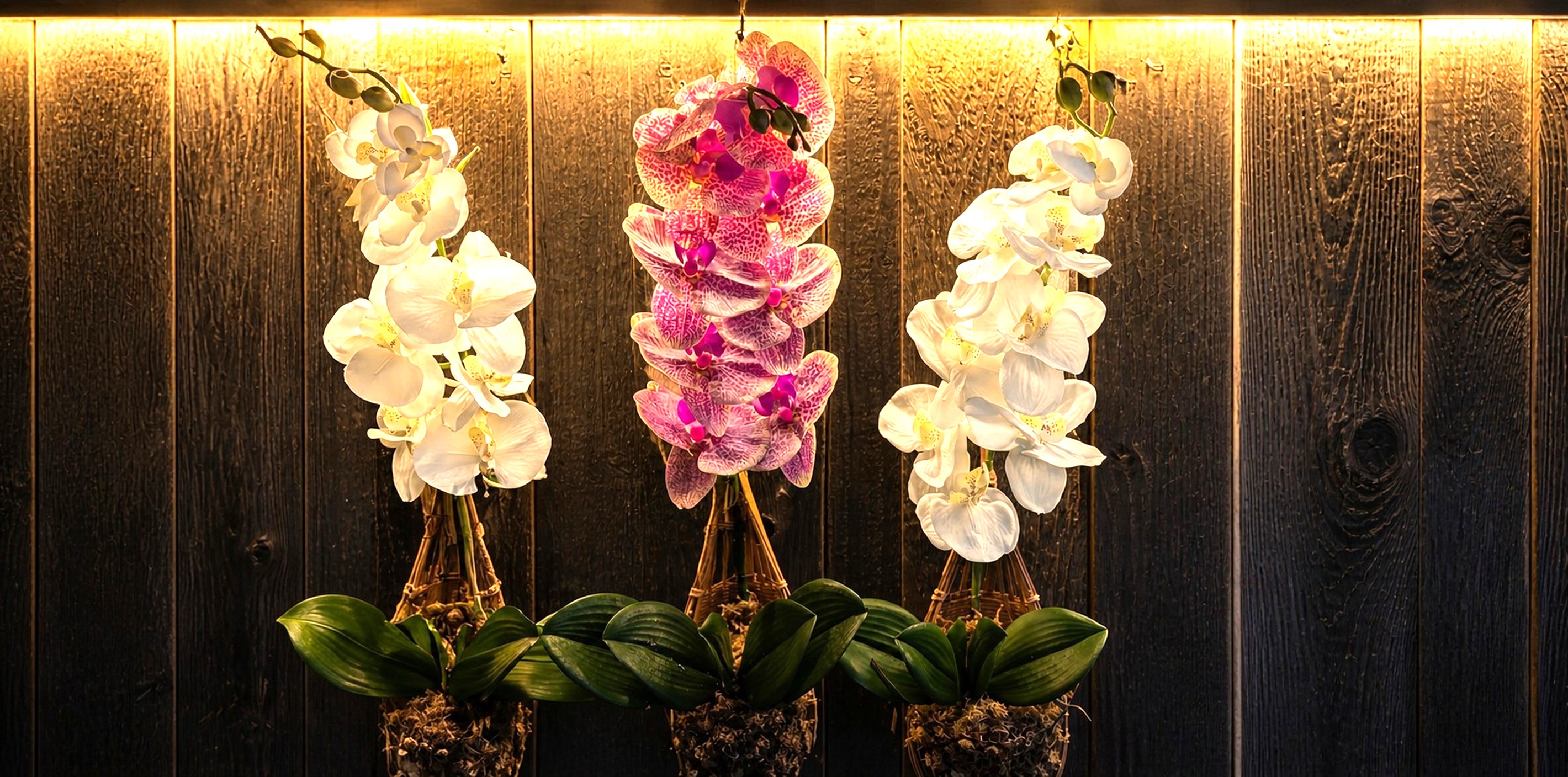 Decorative orchid wall detail