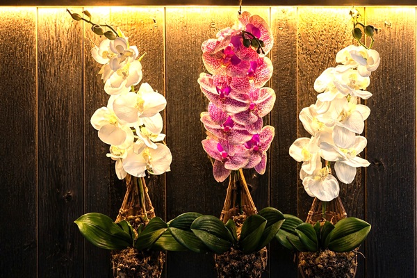Decorative orchid wall detail