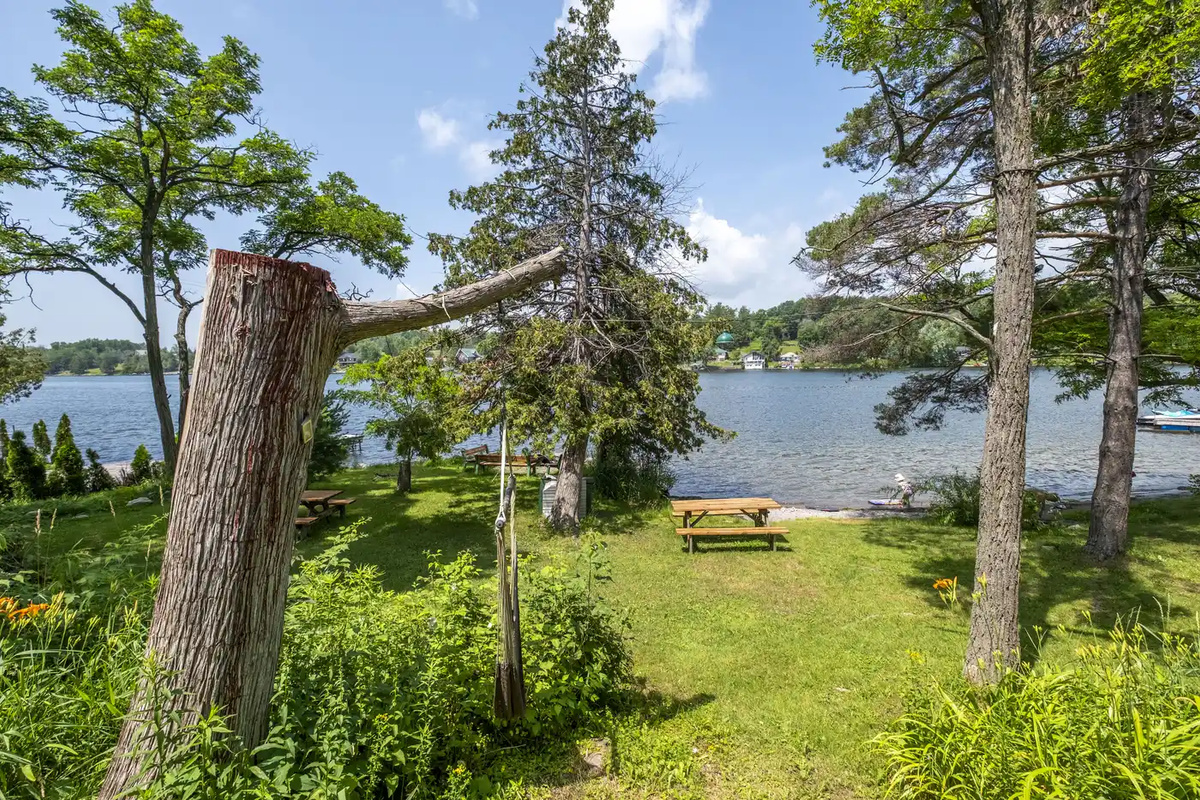 Waterfront view through the trees beside Cottage #1