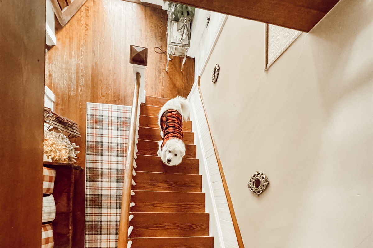 Bedrooms are upstairs