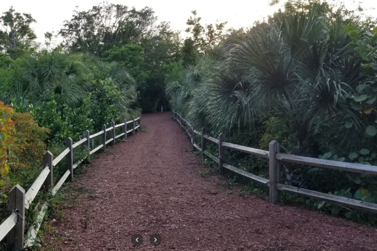 Nearby Jogging / Natural trail 