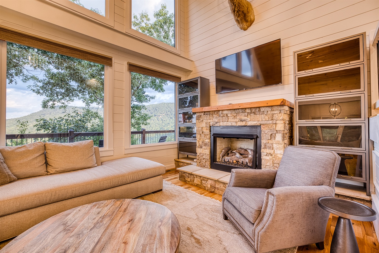 Living room with TV and fireplace