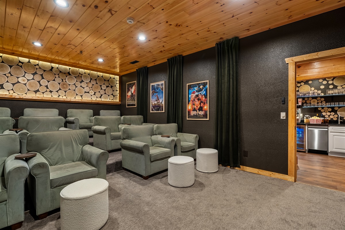 Gives a whole new meaning to family movie night!