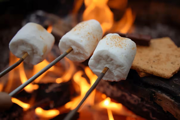 Smores!