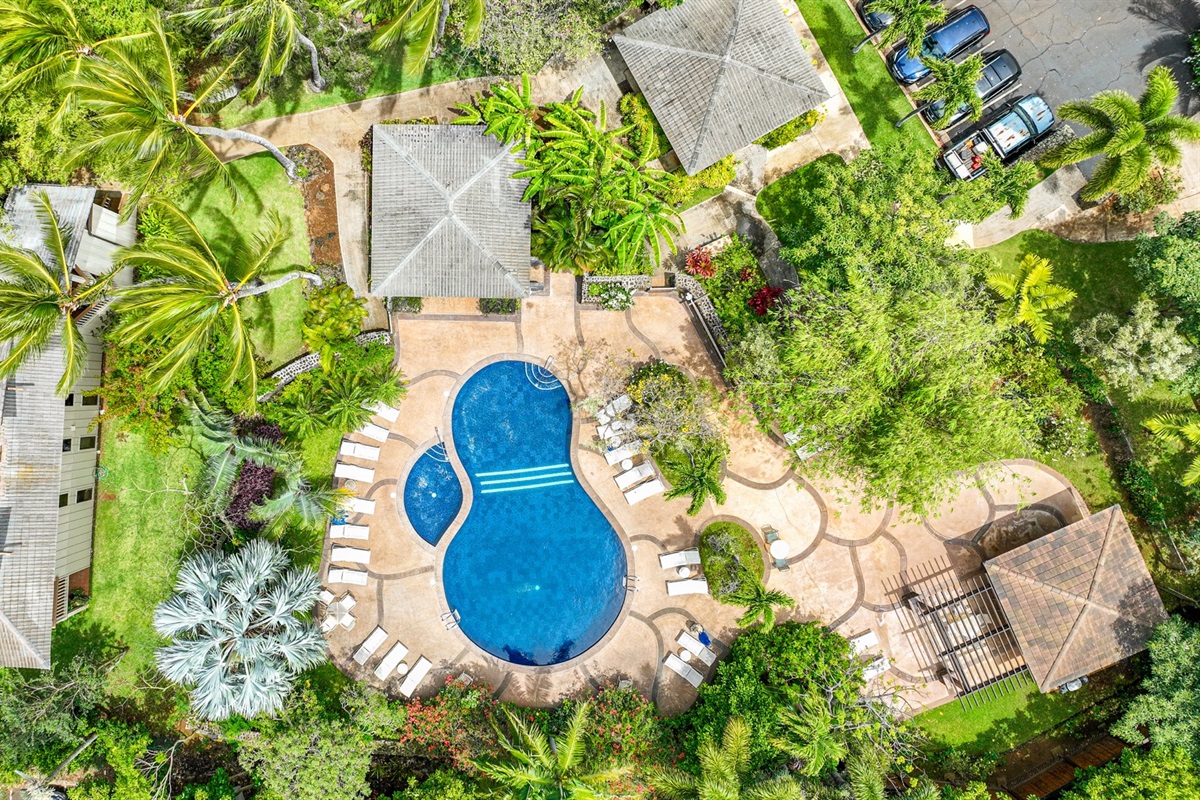 Aerial of pool (click to see video)