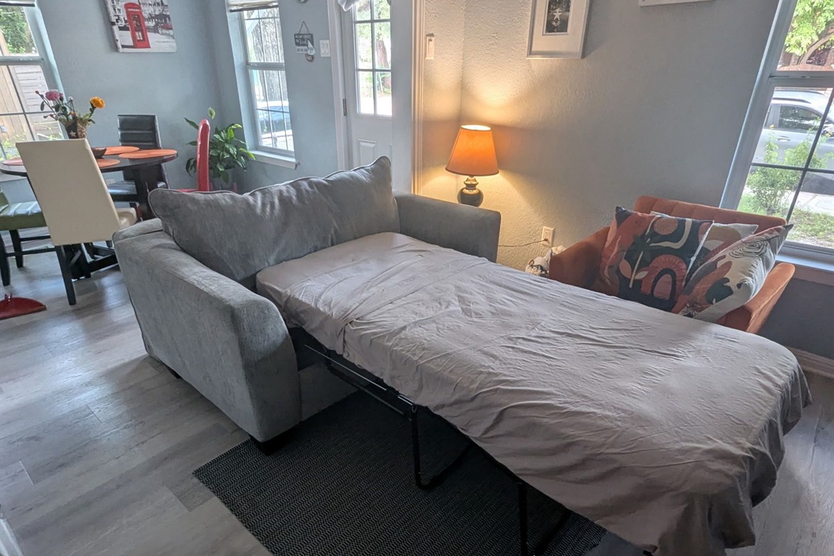 Comfy Pull out sofa in Living room