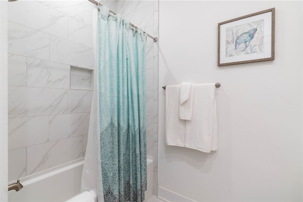 Guest bathroom shower
