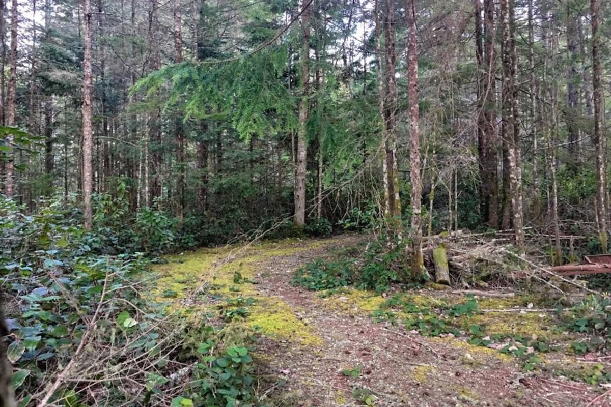 One of the many Paths in the Forested area, beside The Great Escape