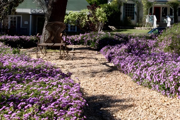 Lush Landscaping