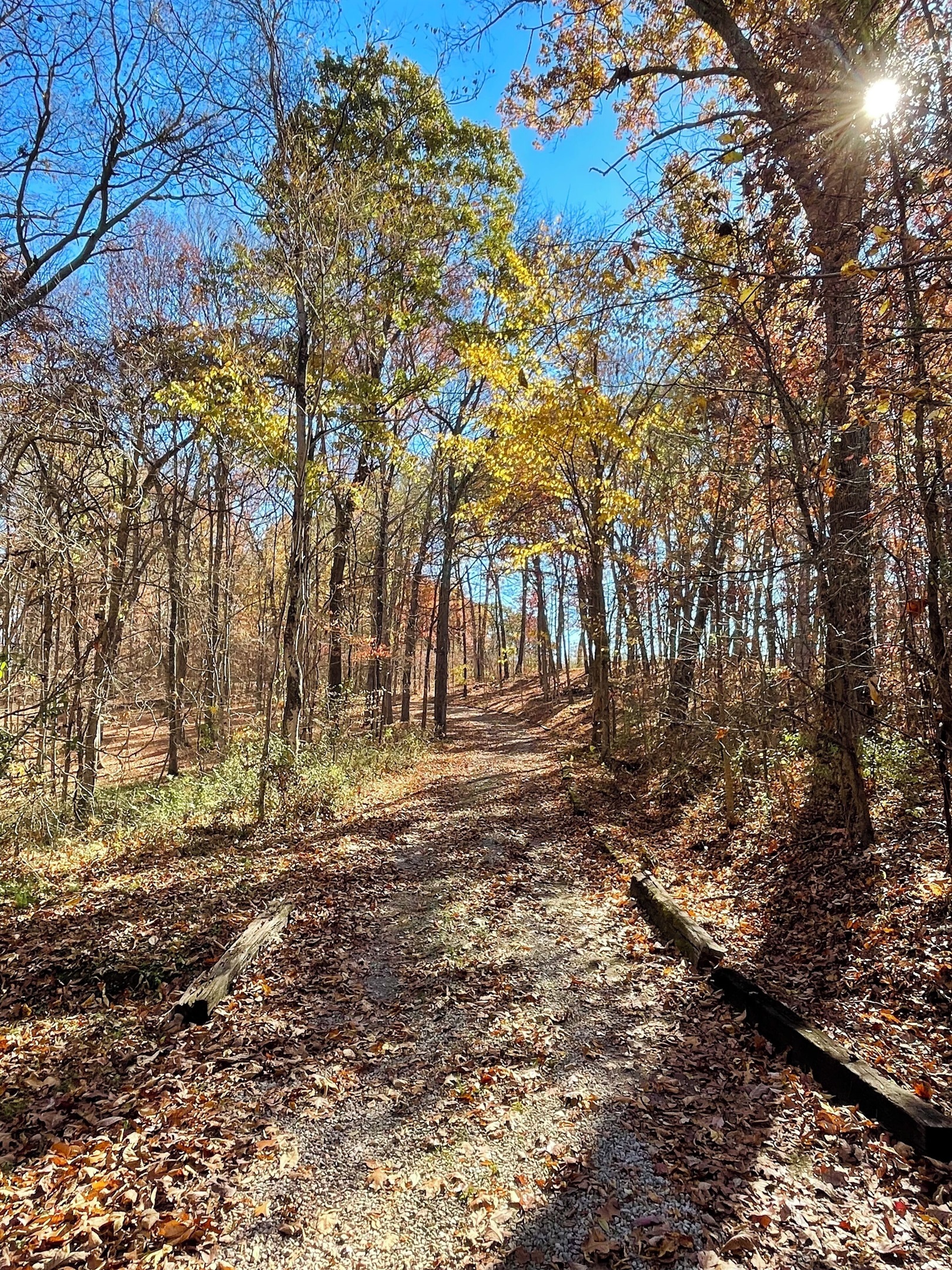 🍂Even the driveway will relax you🍁
