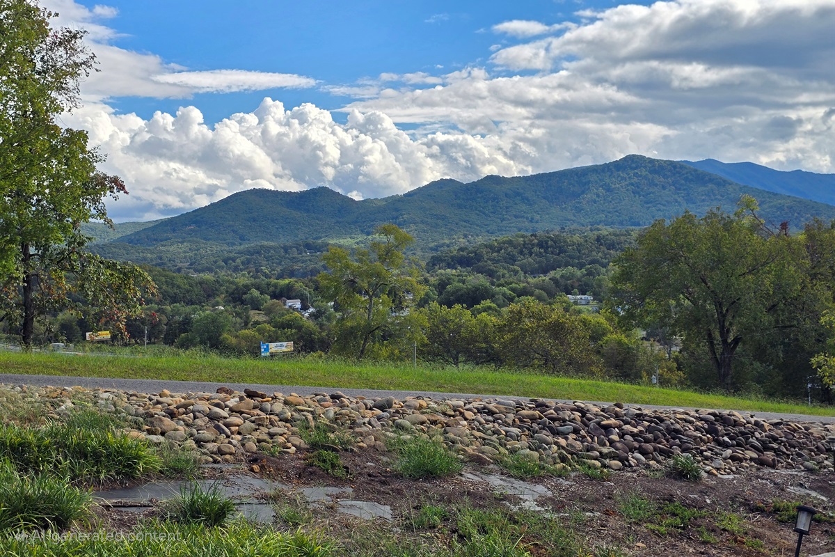 Mountain View out Front