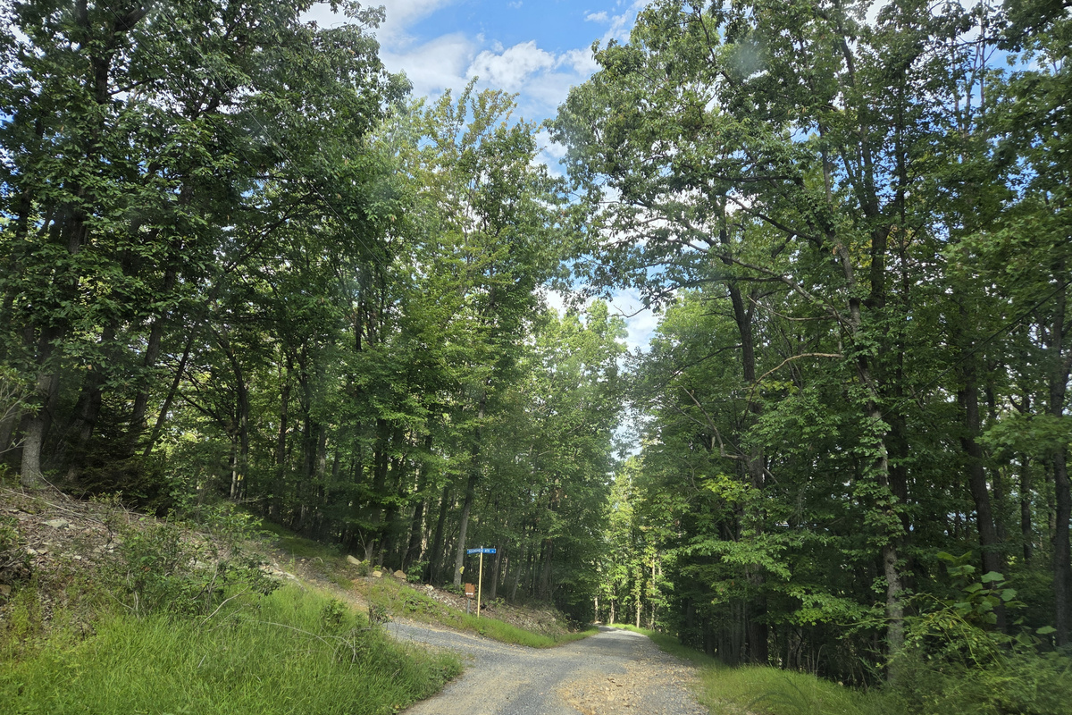 Mountain road leading to the cabin