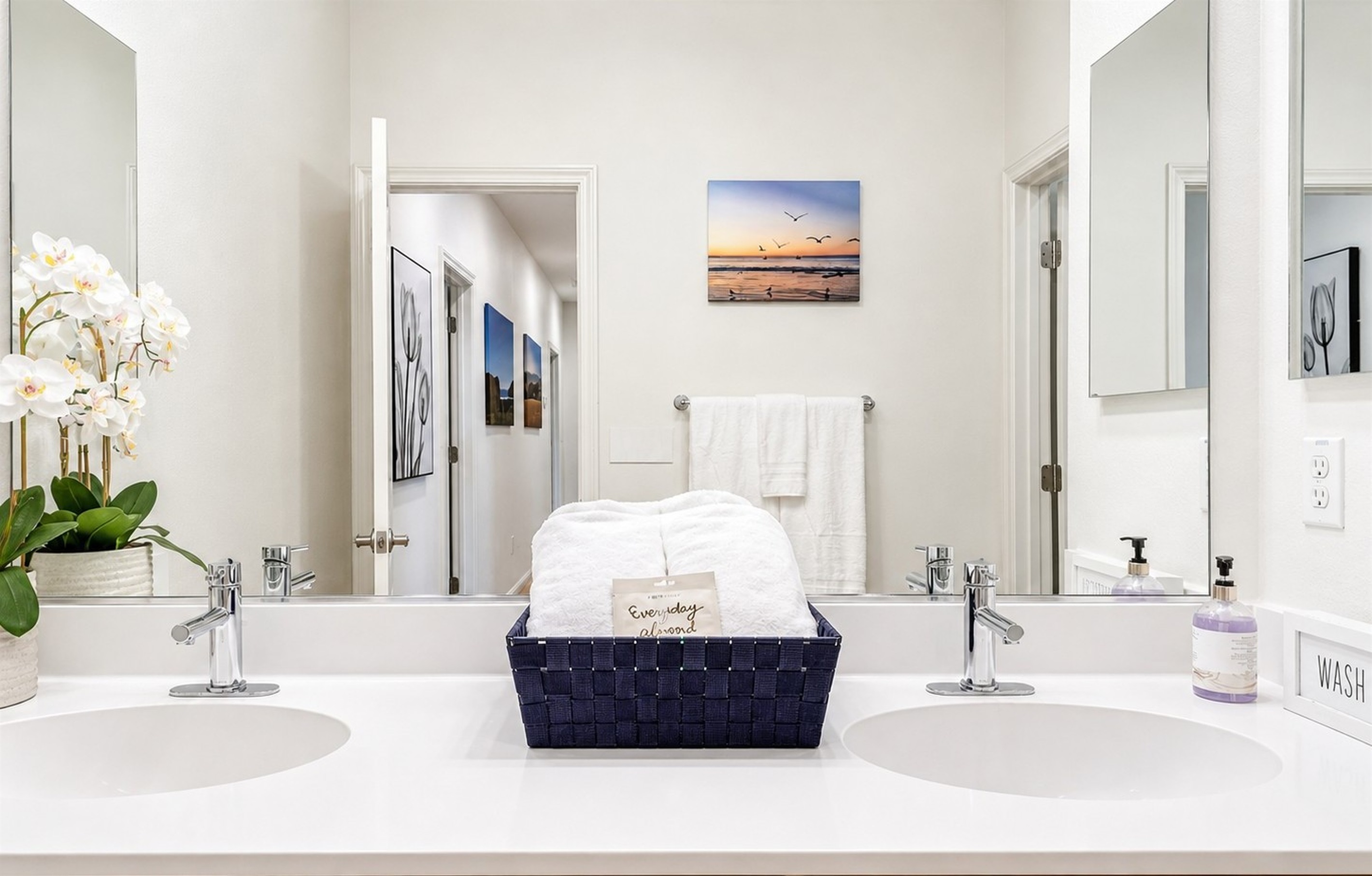 Double-sink vanity for shared use