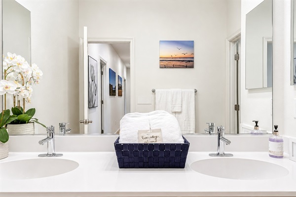 Double-sink vanity for shared use