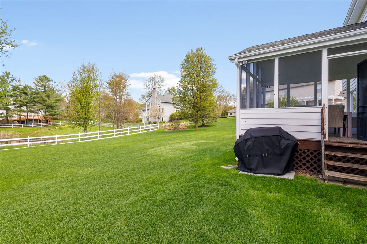 Backyard